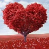A heart shaped tree with red leaves in a field of red flowers